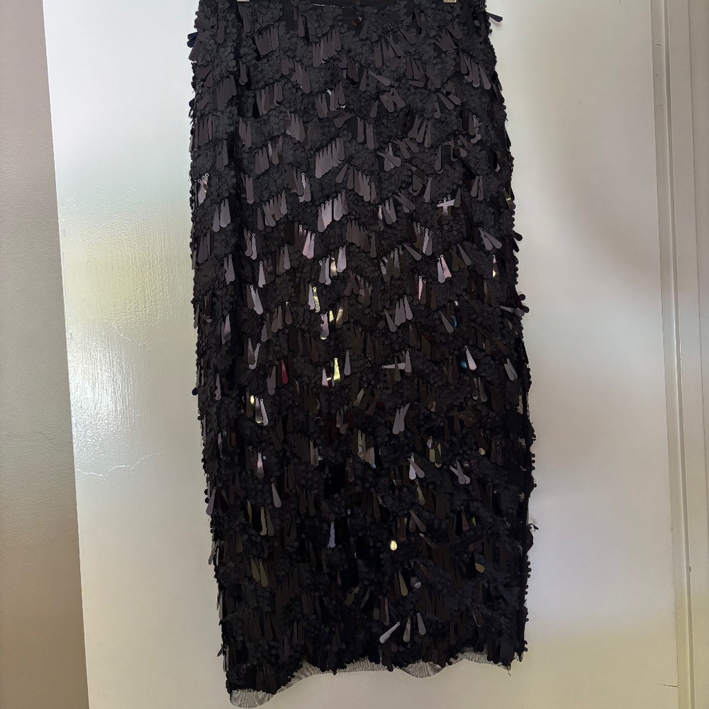 Sequin Zara midi skirt